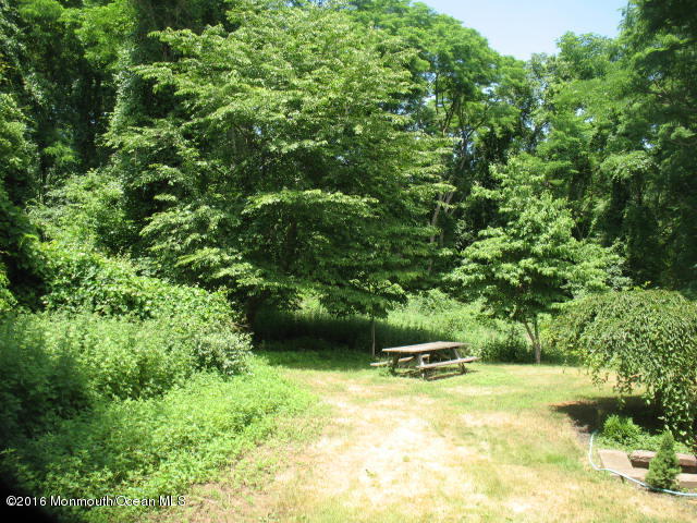 143 Phalanx Road Colts Neck, NJ 07722 - Photo 95 of 99 Green acres...