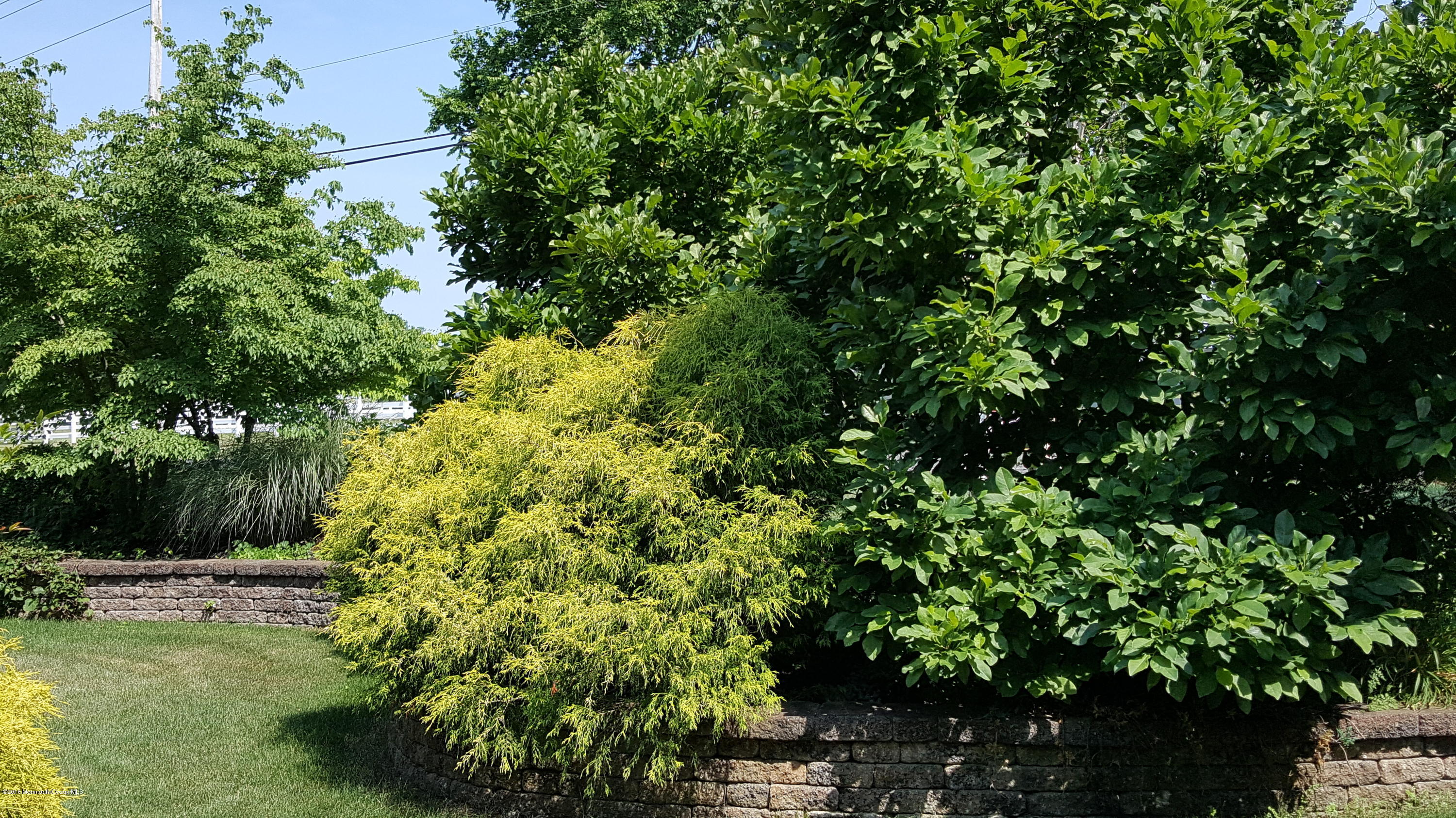 143 Phalanx Road Colts Neck, NJ 07722 - Photo 97 of 99 front