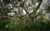 Lot 4 Beach Walker Road Fernandina Beach, FL 32034 - Photo 12 of 13 Gallery Image 12