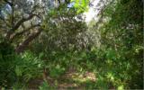 Lot 4 Beach Walker Road Fernandina Beach, FL 32034 - Photo 6 of 13 Gallery Image 6