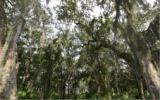 Lot 4 Beach Walker Road Fernandina Beach, FL 32034 - Photo 7 of 13 Gallery Image 7