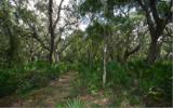 Lot 4 Beach Walker Road Fernandina Beach, FL 32034 - Photo 8 of 13 Gallery Image 8