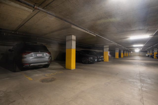 500 South Clinton Street, Unit 251 Chicago, IL 60607 - Photo 18 of 19