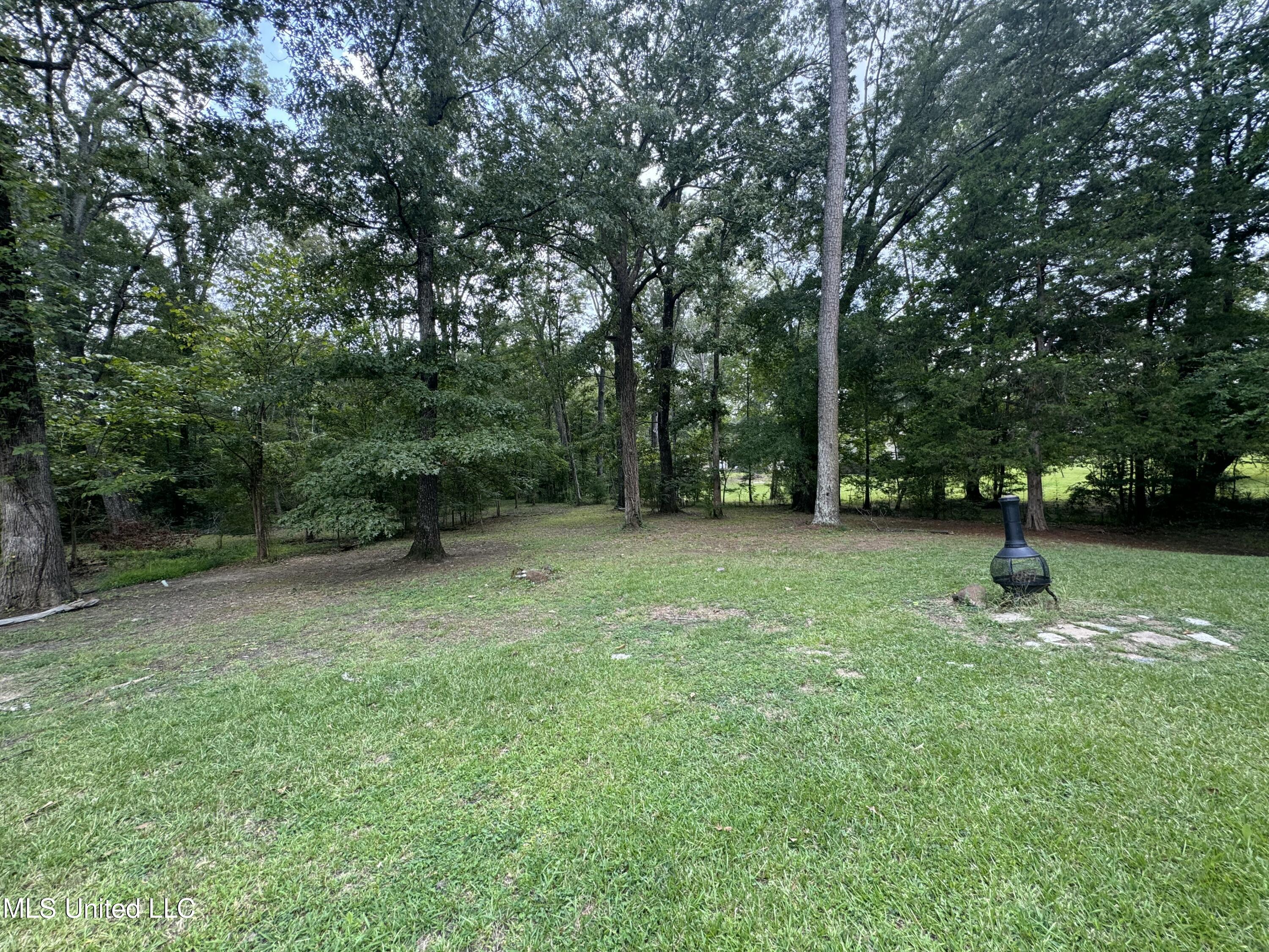 3933 Highway 43 Brandon, MS 39047 - Photo 13 of 19 IMG_1416