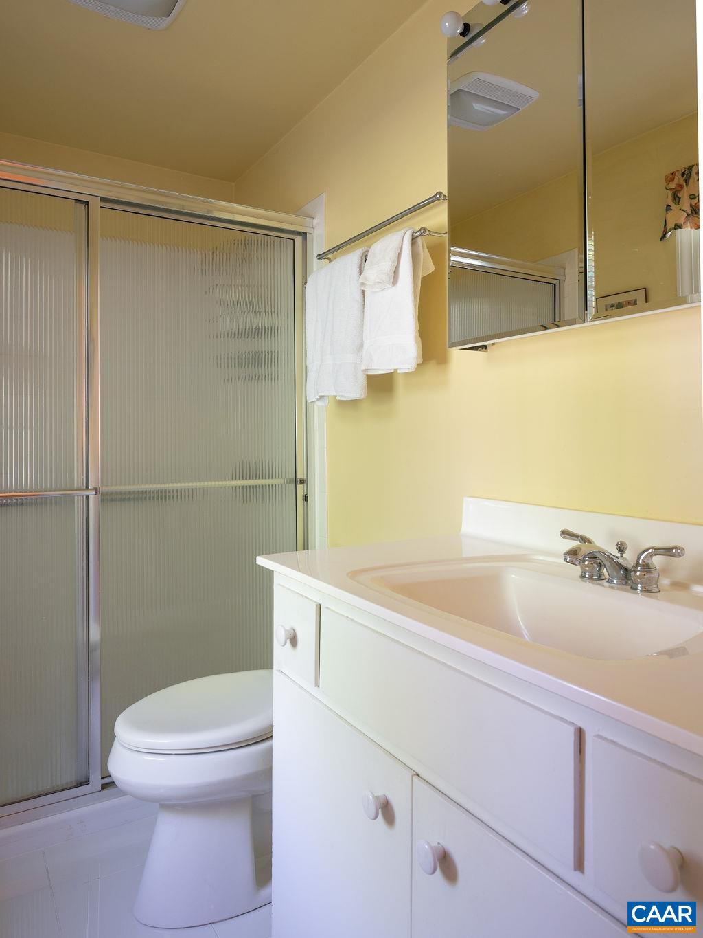 920 Flordon Drive Charlottesville, VA 22901 - Photo 22 of 43 a bathroom with a sink a toilet and shower