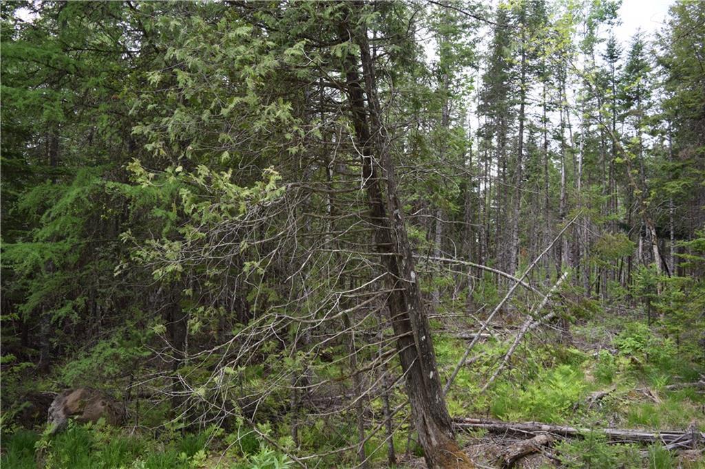 68 Pickle Ridge Road Springfield, ME 04487 - Photo 16 of 32 Maine Wooded Acreage for Sale in...