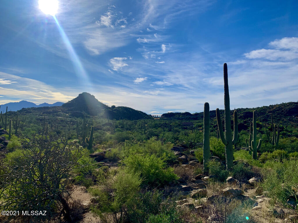 North Sacred Canyon Road Marana, AZ 85658 - Photo 14 of 16