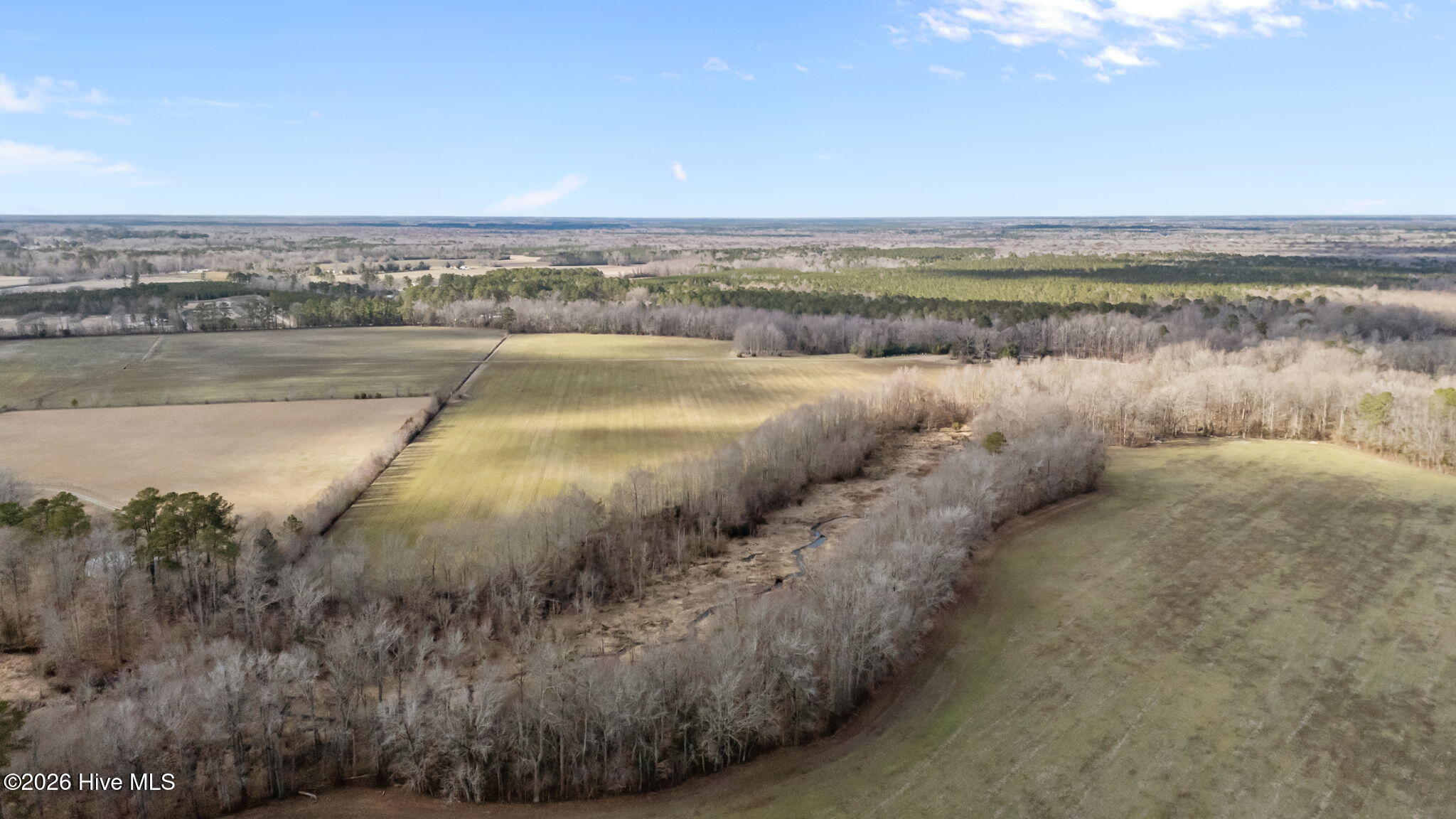 1723 Spring Garden Road New Bern, NC 28562 - Photo 4 of 9 10-web-or-mls-DJI_20260223152811_0037_D