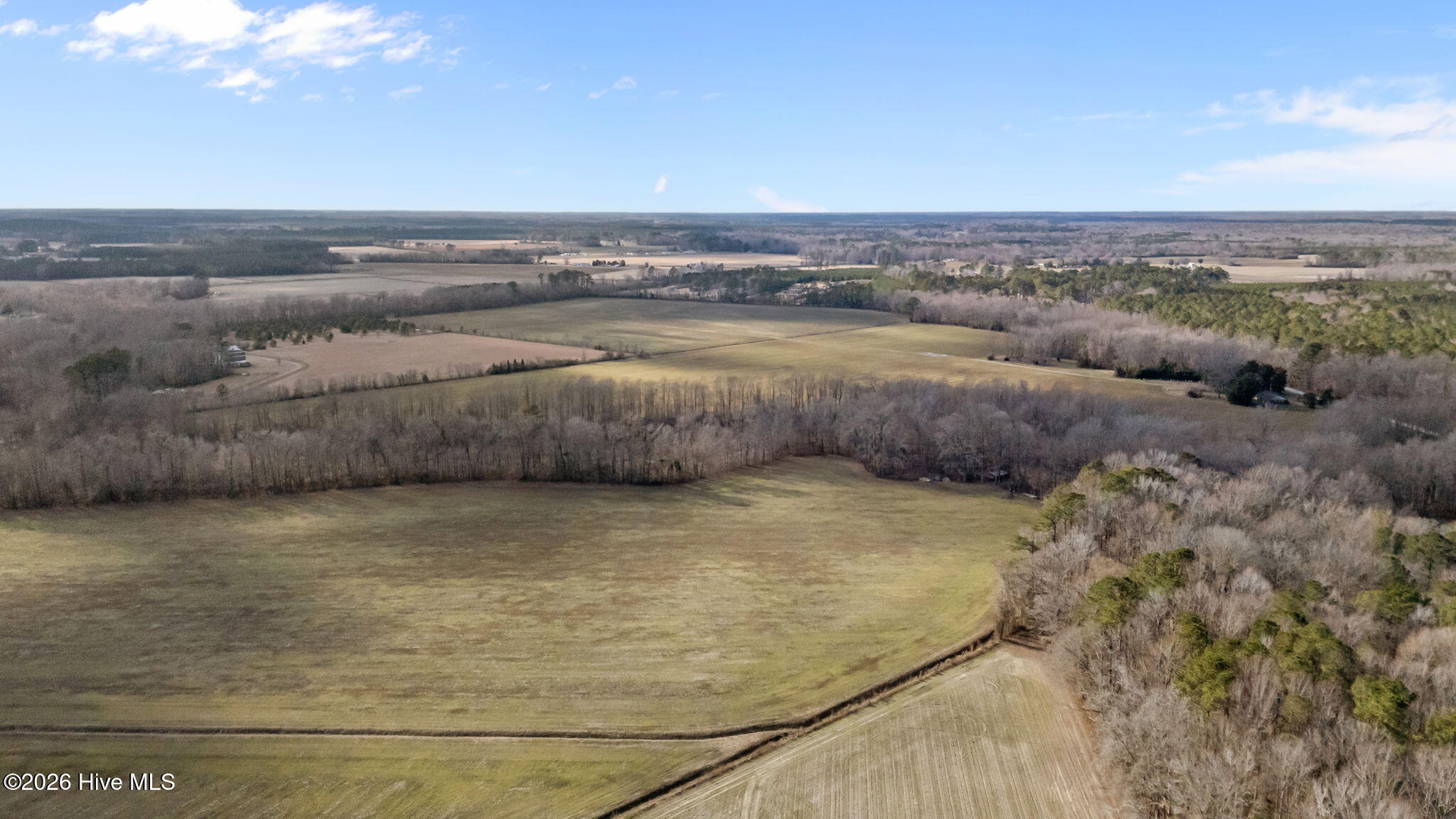 1723 Spring Garden Road New Bern, NC 28562 - Photo 5 of 9 12-web-or-mls-DJI_20260223152847_0039_D