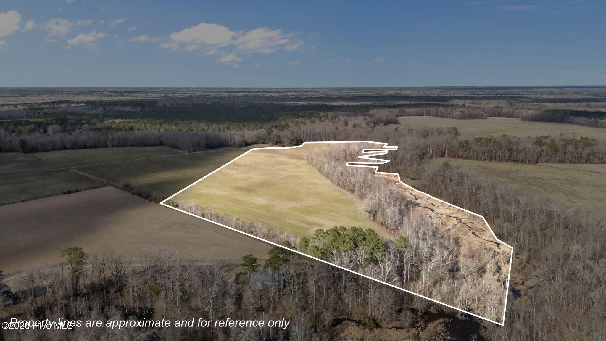 1723 Spring Garden Road New Bern, NC 28562 - Photo 8 of 9 16-web-or-mls-DJI_20260223152604_0033_D_