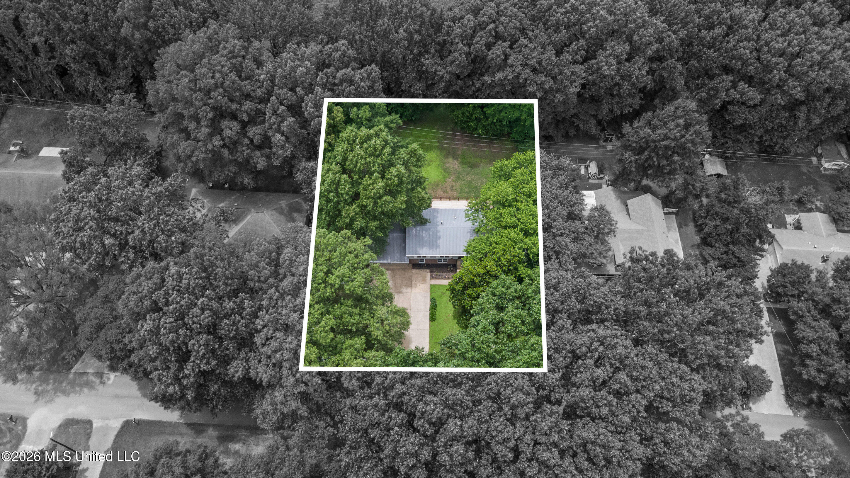 7145 Westbranch Road Olive Branch, MS 38654 - Photo 37 of 39 Lot View - 7145 Westbranch Drive