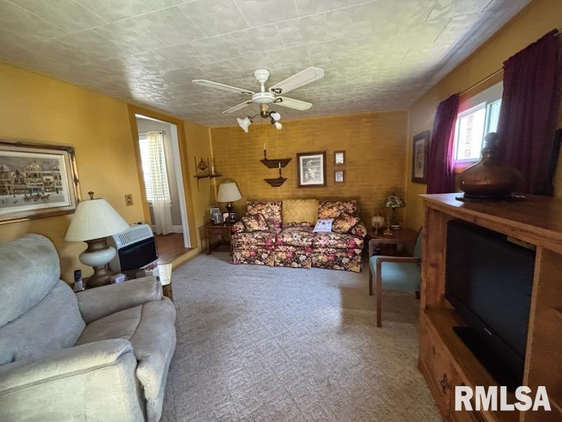 814 3rd Street Rosiclare, IL 62982 - Photo 7 of 20