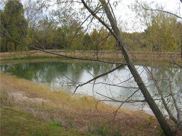 516 Brasfield Road Dresden, TN 38225 - Photo 12 of 14 a view of a lake view