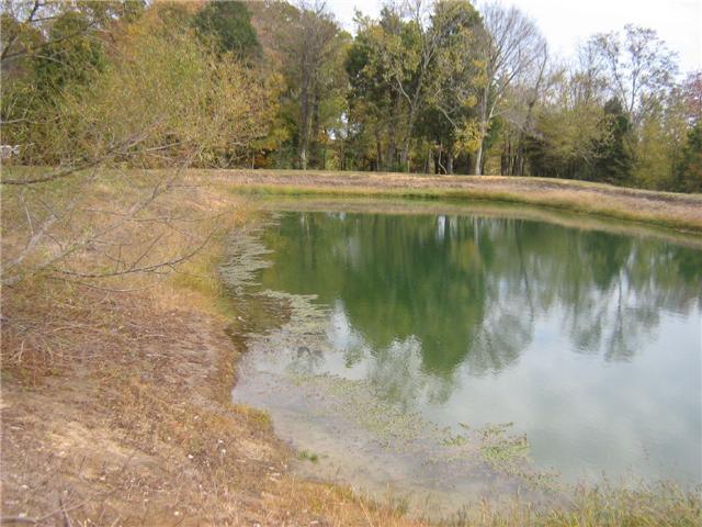 516 Brasfield Road Dresden, TN 38225 - Photo 13 of 14 a view of lake