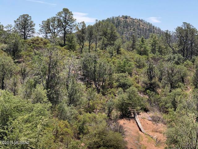 601 South Rim Club Drive Payson, AZ 85541 - Photo 7 of 13 Gallery Image 7
