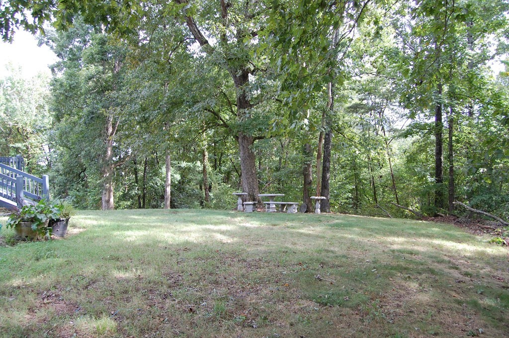 289 Dogwood Circle Decatur, TN 37322 - Photo 37 of 42 a view of a field with trees in the background