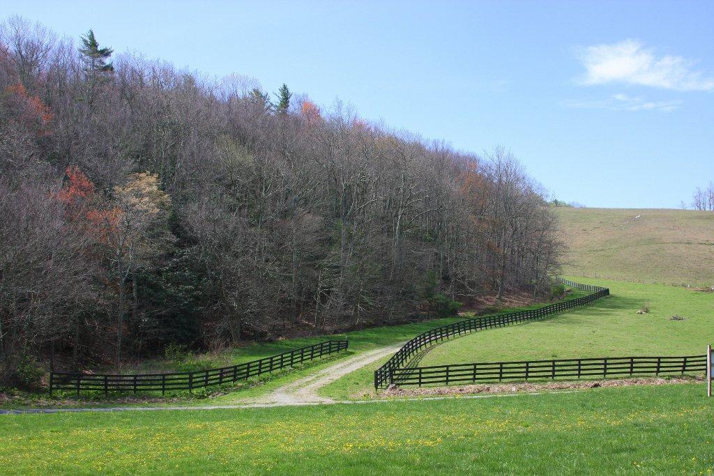 a view of a park