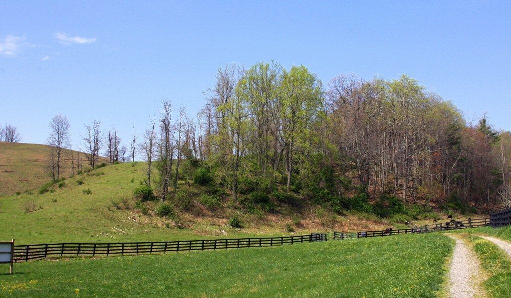 18212 Callaway Road Callaway, VA 24067 - Photo 3 of 5 a view of a city