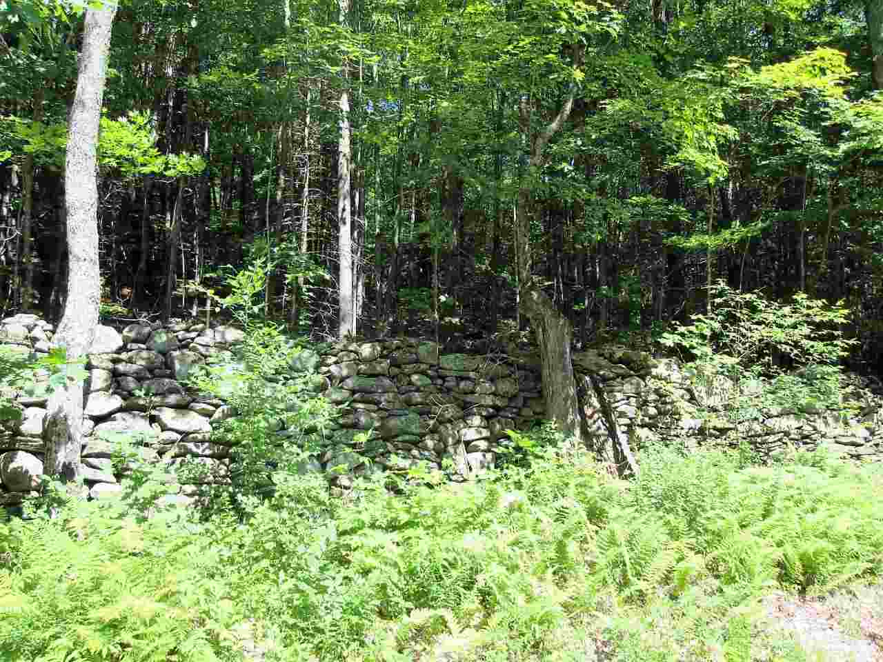 1271 Taft Road Townshend, VT 05353 - Photo 1 of 3 Gallery Image 1