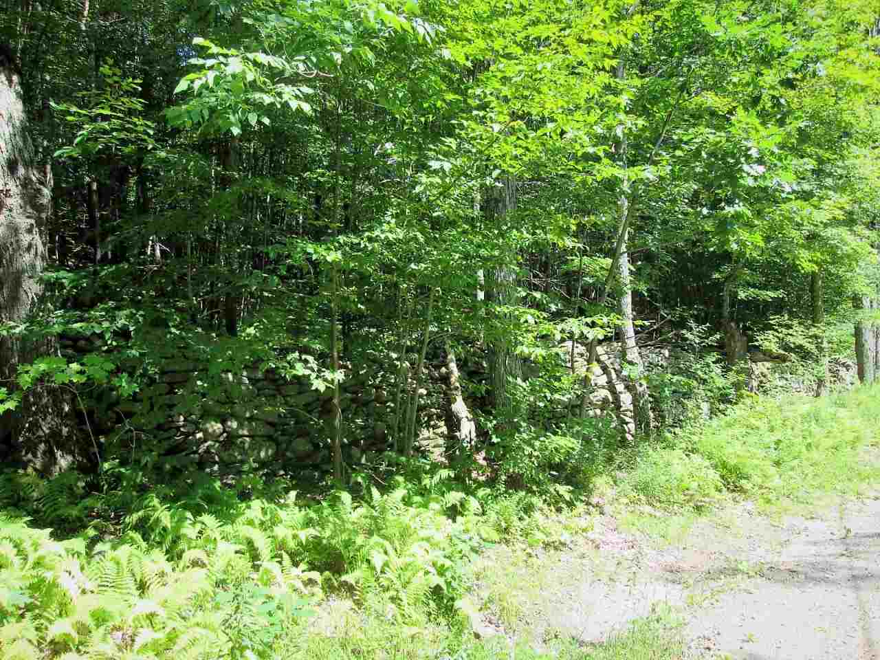 1271 Taft Road Townshend, VT 05353 - Photo 2 of 3 Gallery Image 2