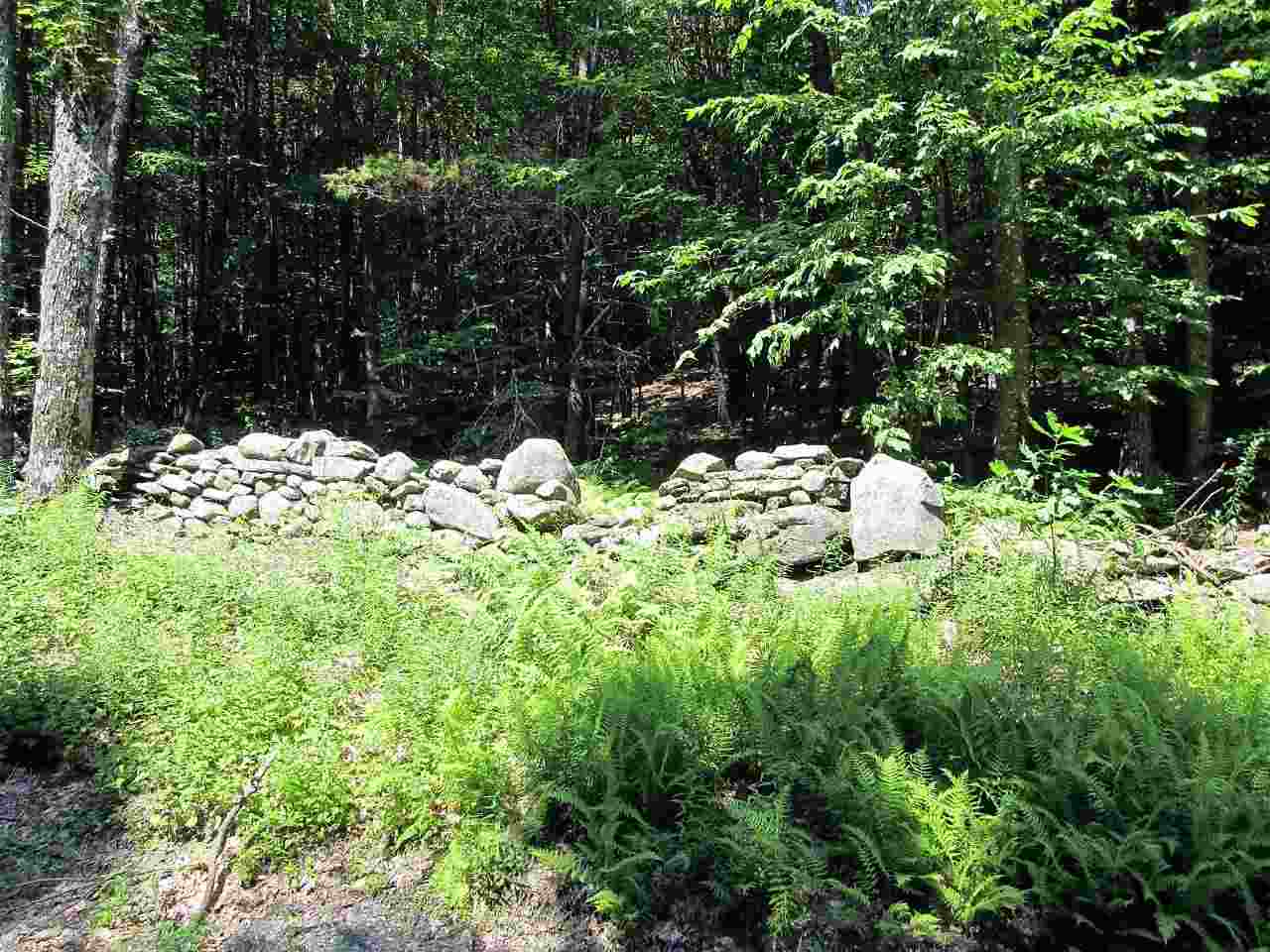 1271 Taft Road Townshend, VT 05353 - Photo 3 of 3 Gallery Image 3