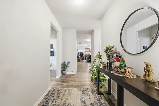 a living room with a rug and a potted plant