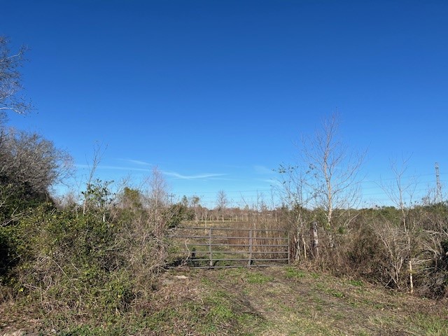 0 Fm 1942 Road Crosby, TX 77532 - Photo 4 of 6