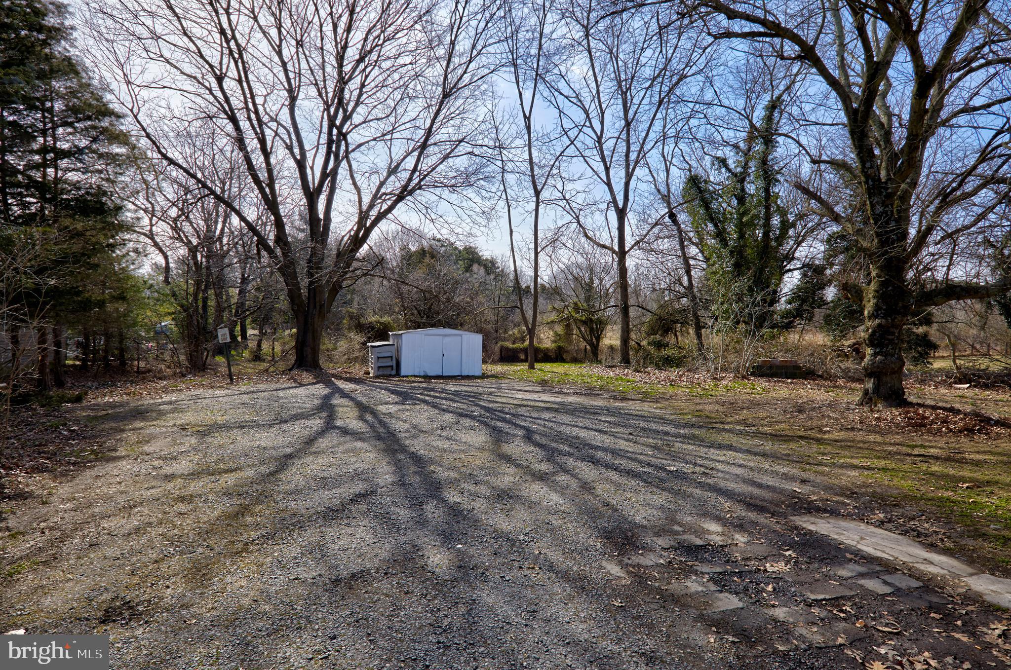44 Cedarbrook Road Sicklerville, NJ 08081 - Photo 24 of 25 a view of road with trees