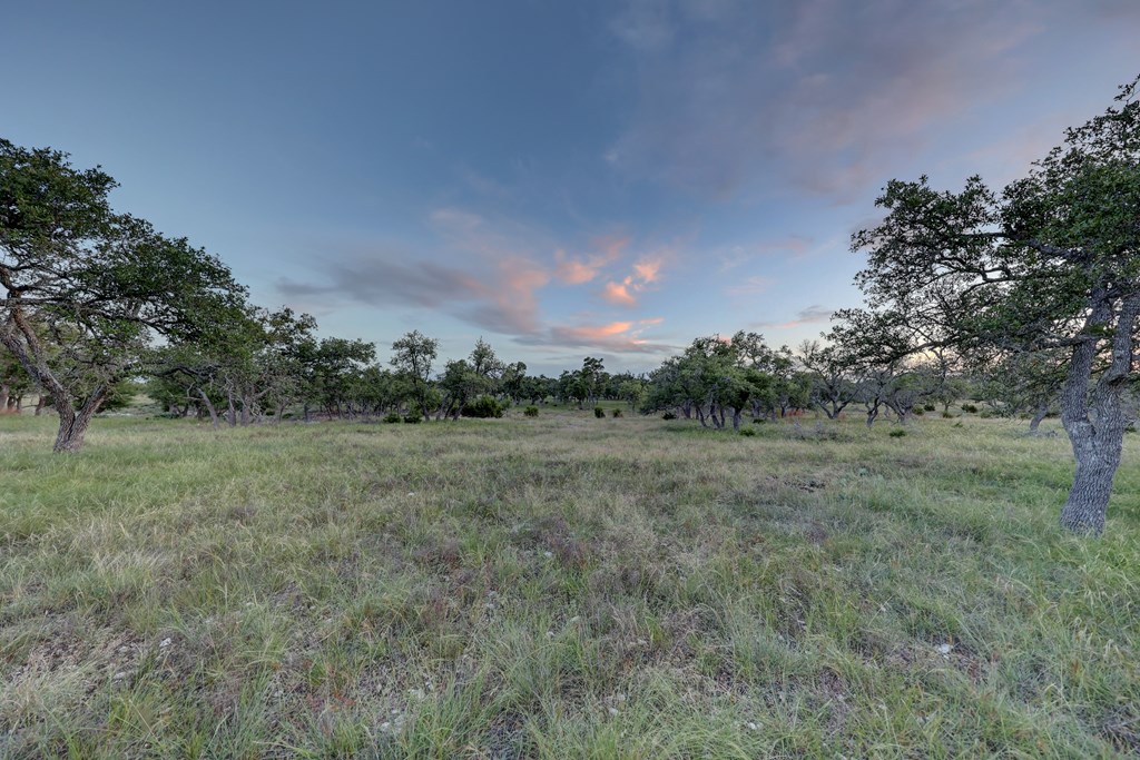 0 Stevens Ranch Road Harper, TX 78631 - Photo 12 of 31 a view of an outdoor space and a yard