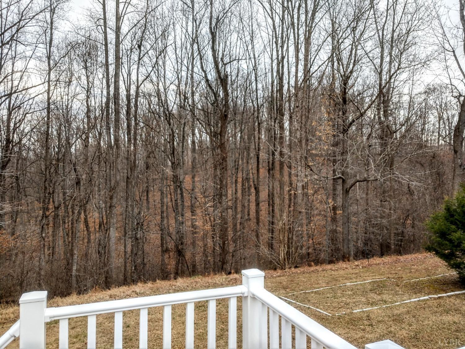 275 Rothwood Road Monroe, VA 24574 - Photo 31 of 37 Gallery Image 31