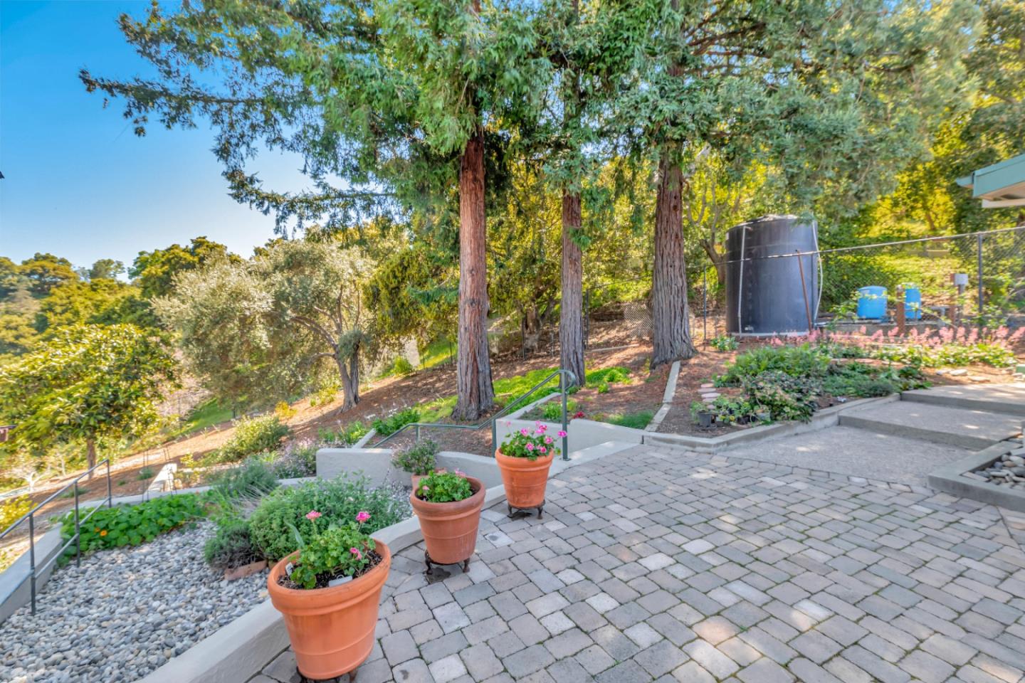22820 San Juan Road Cupertino, CA 95014 - Photo 62 of 100 a view of a backyard with potted plants and large trees