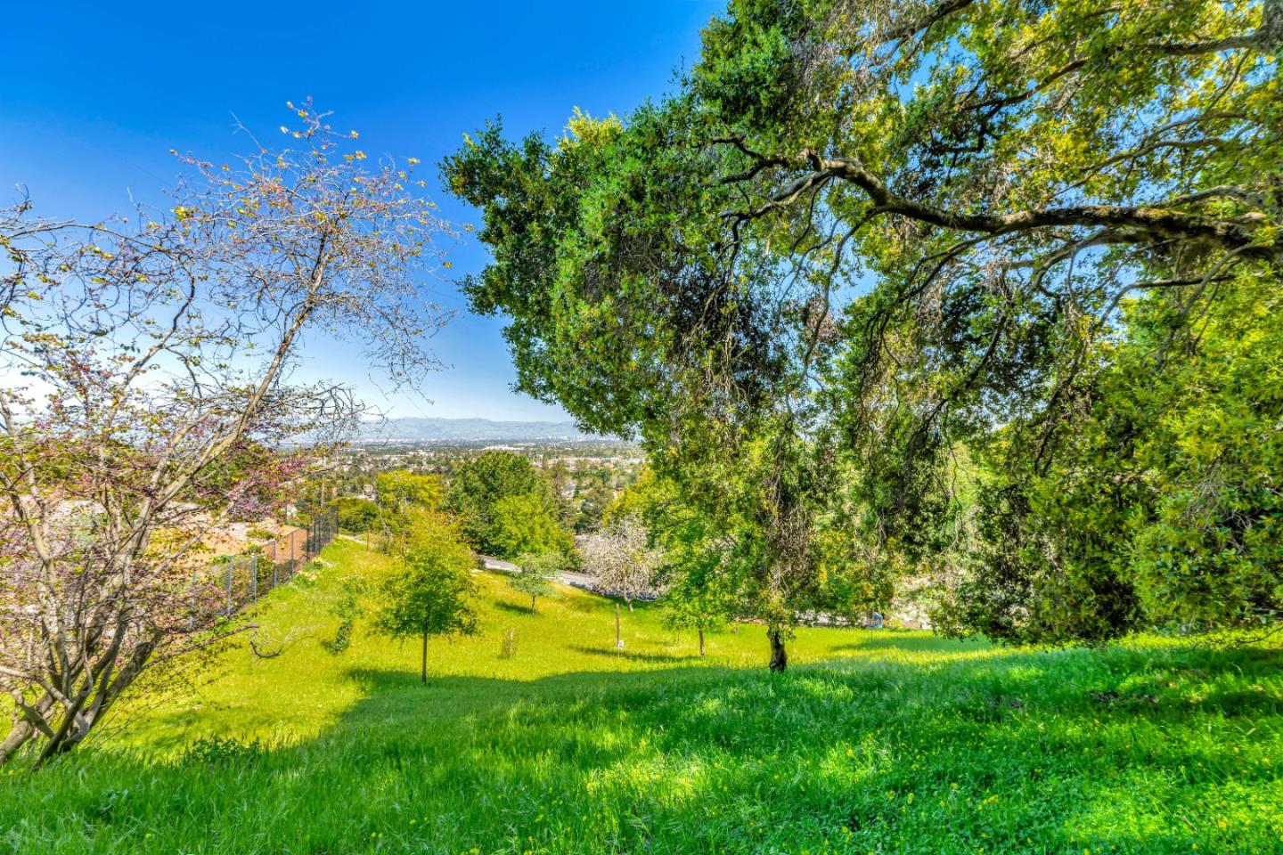 22820 San Juan Road Cupertino, CA 95014 - Photo 66 of 100 a view of an outdoor space and a yard