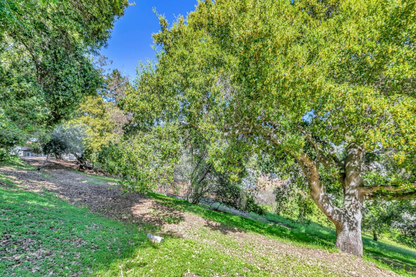 22820 San Juan Road Cupertino, CA 95014 - Photo 68 of 100 a backyard of a house with lots of green space