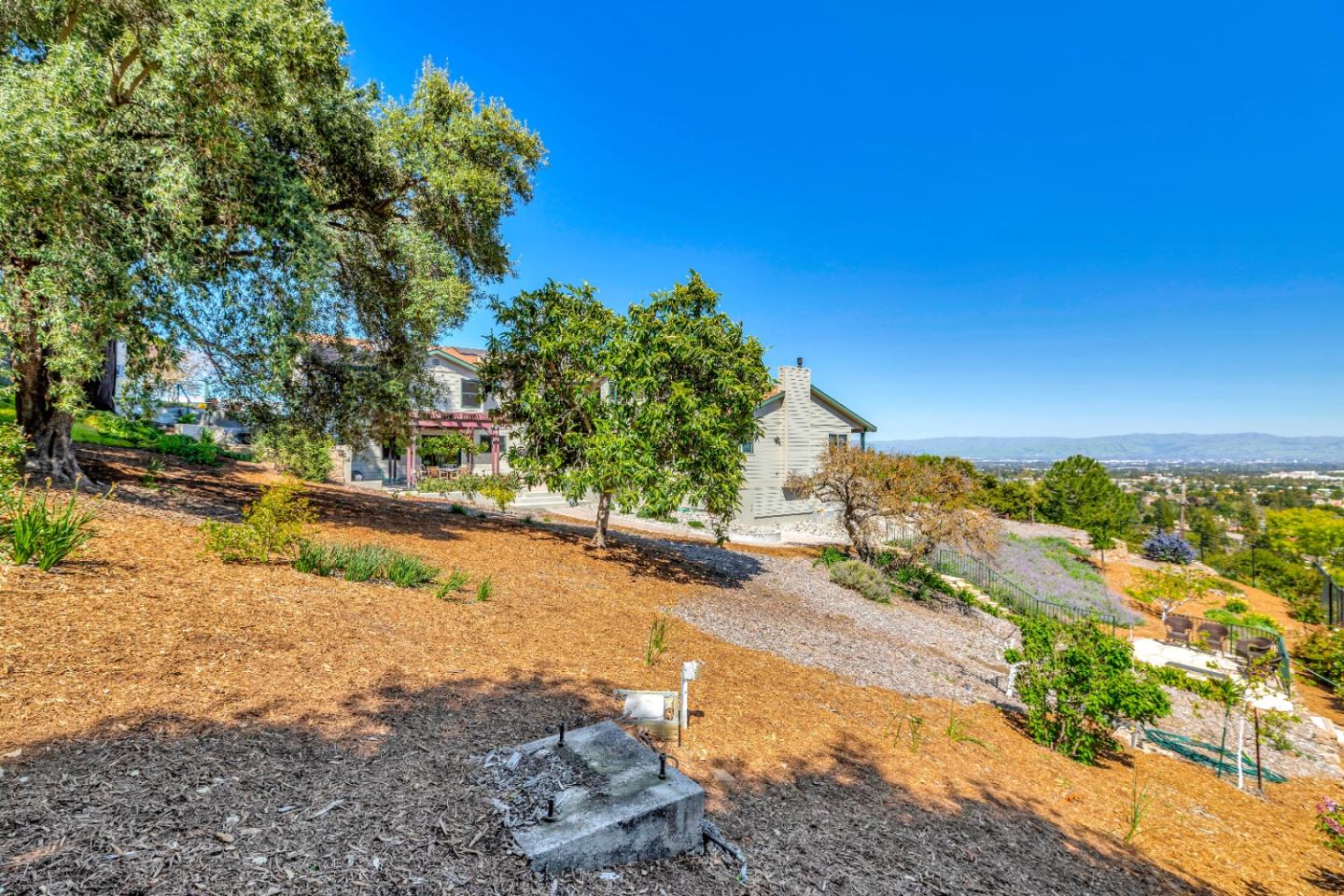 22820 San Juan Road Cupertino, CA 95014 - Photo 70 of 100 a view of a yard with trees