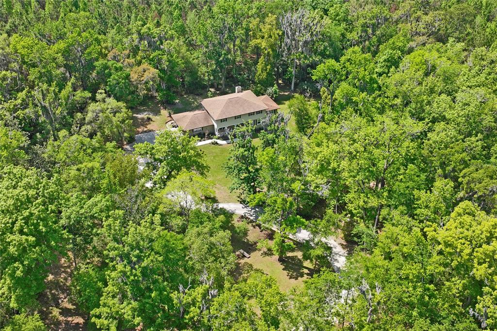 20424 Marguerite Road Brooksville, FL 34601 - Photo 81 of 83