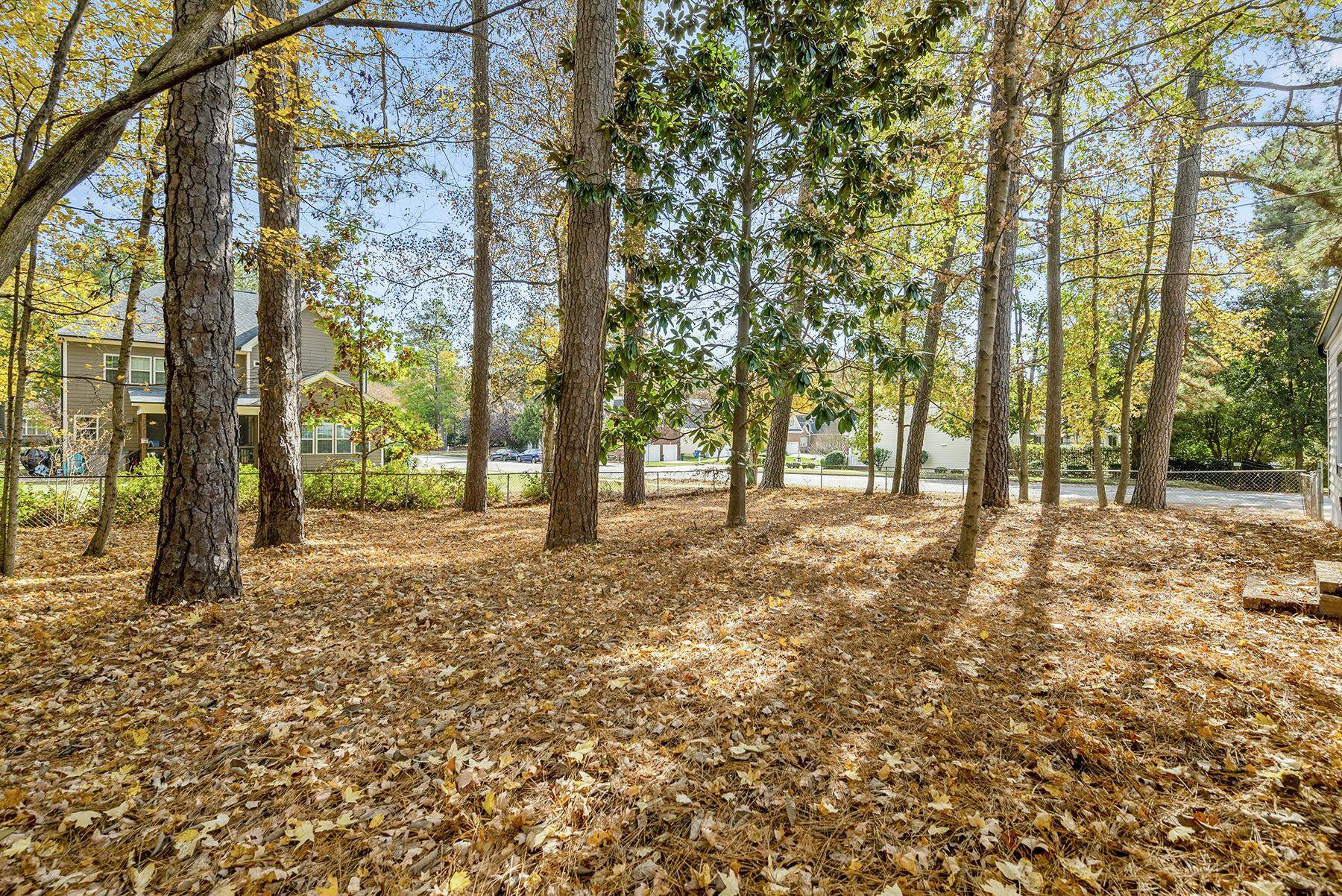 6500 Hammersmith Drive Raleigh, NC 27613 - Photo 19 of 21 a view of outdoor space with trees