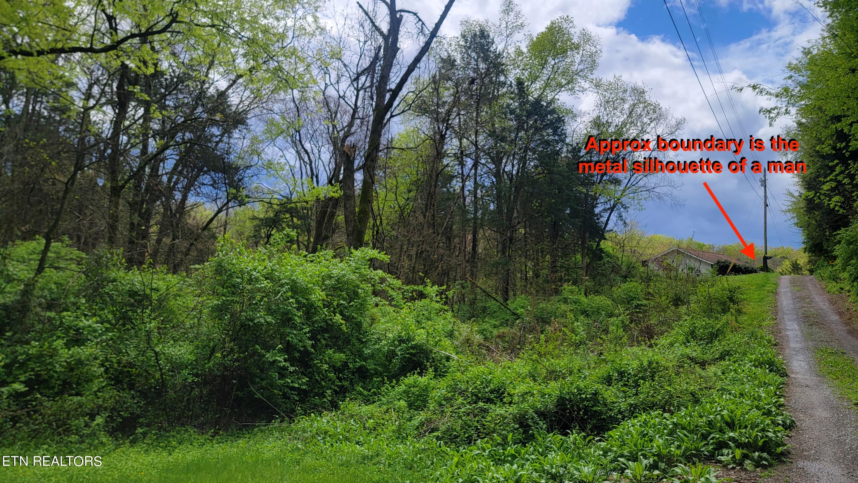 Oak Grove Road Dandridge, TN 37725 - Photo 2 of 9 Parcel 5 Approx Boundary