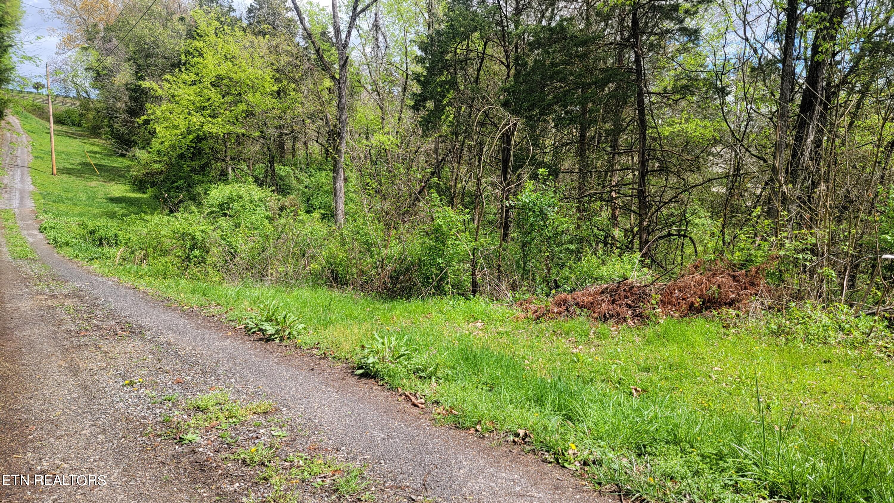 Oak Grove Road Dandridge, TN 37725 - Photo 6 of 9 Easement Road