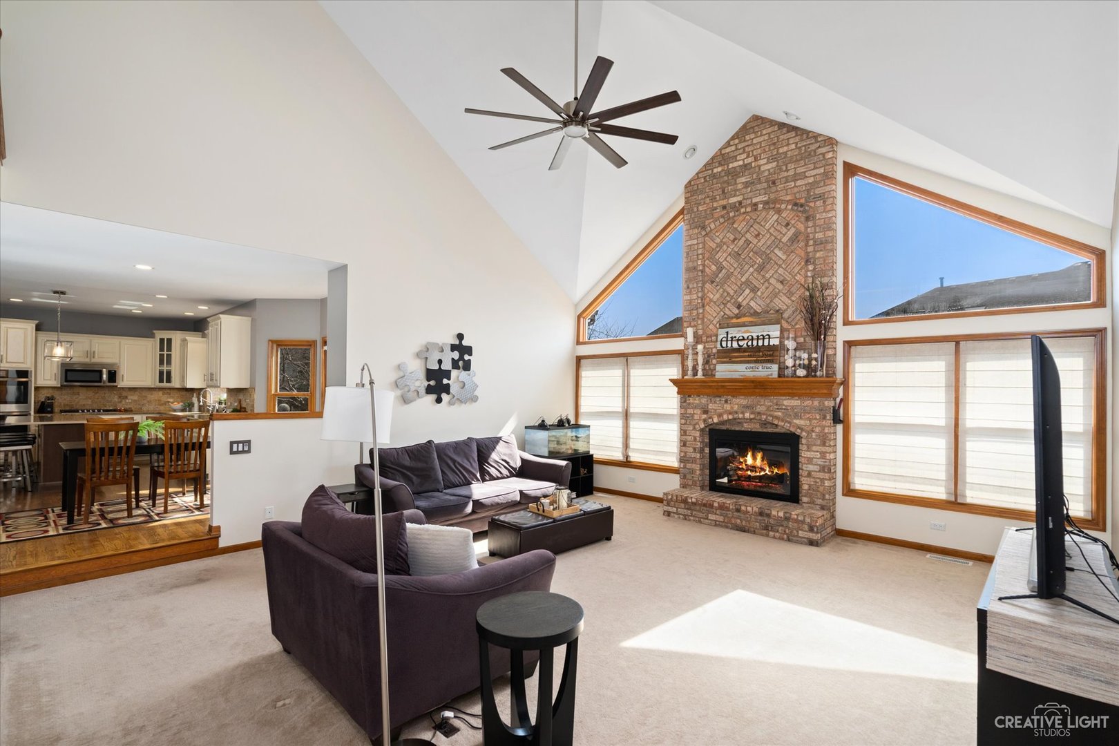 3812 Mistflower Lane Naperville, IL 60564 - Photo 10 of 49 a living room with furniture a fireplace and a flat screen tv