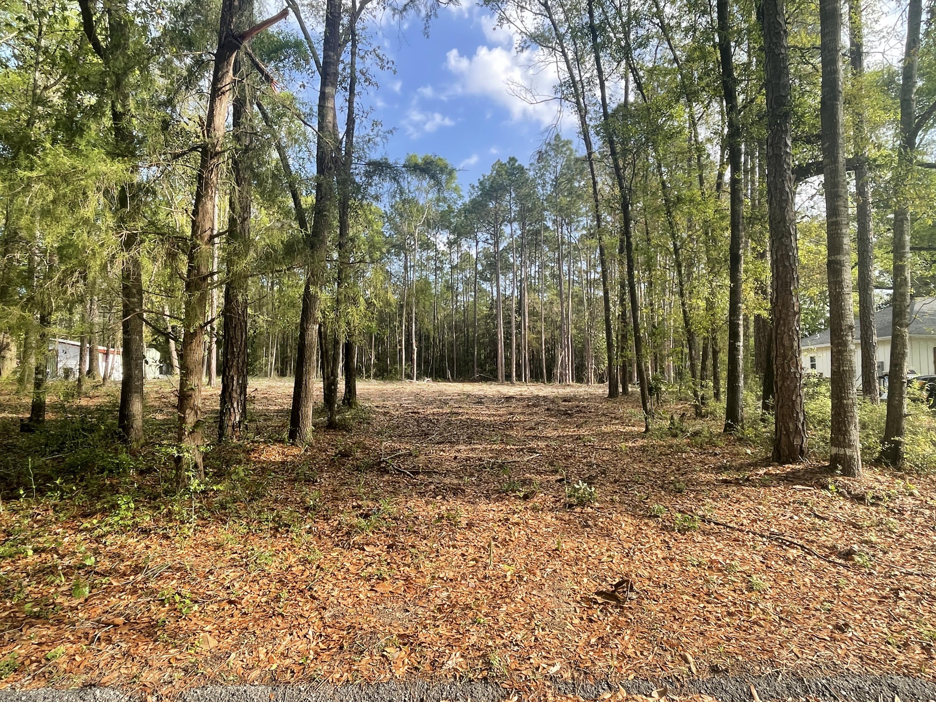 Lot 3 Squirrel Road DeFuniak Springs, FL 32433 - Photo 1 of 6 a view of backyard with trees