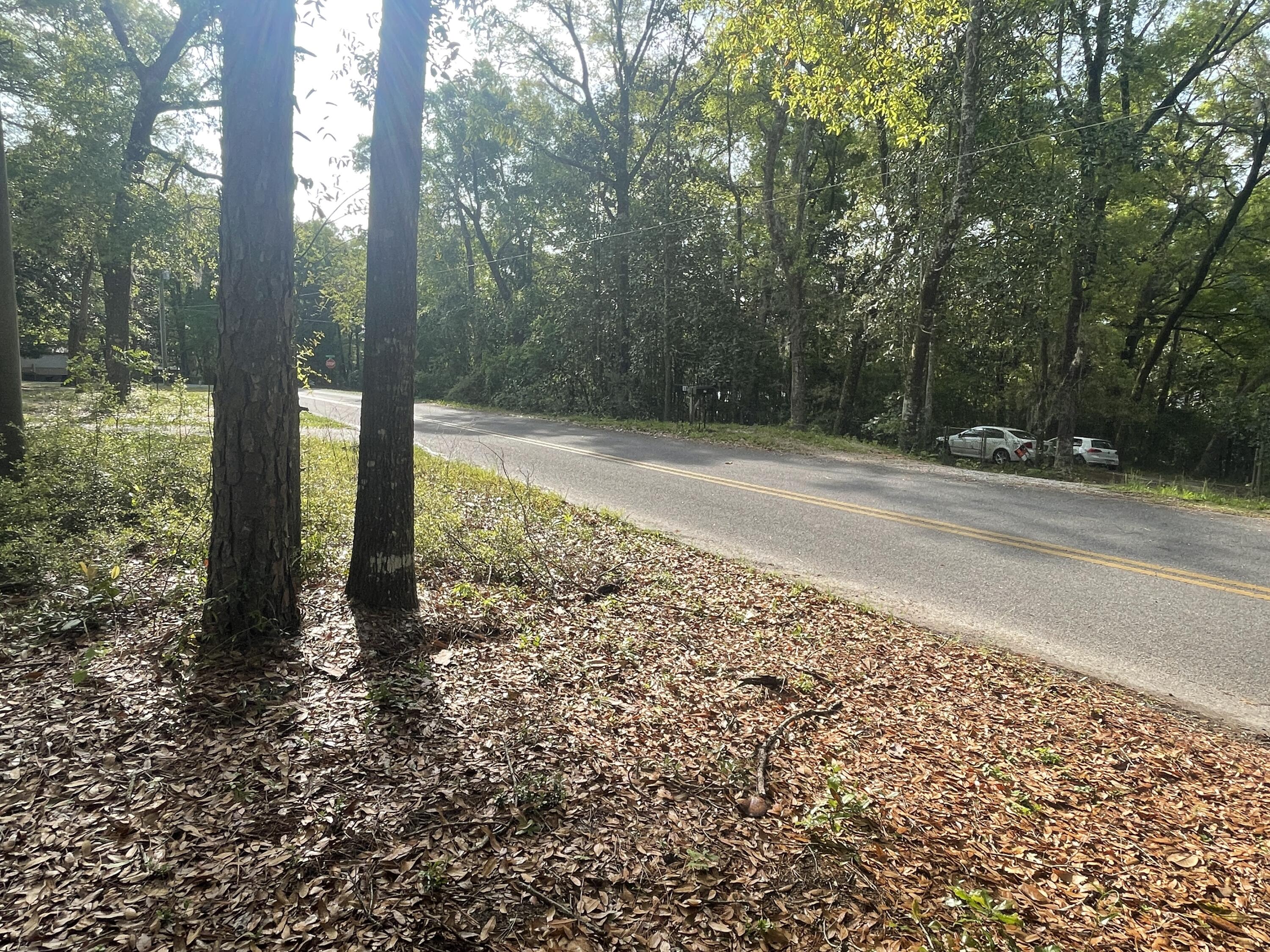 Lot 3 Squirrel Road DeFuniak Springs, FL 32433 - Photo 3 of 6 a view of a yard with large trees