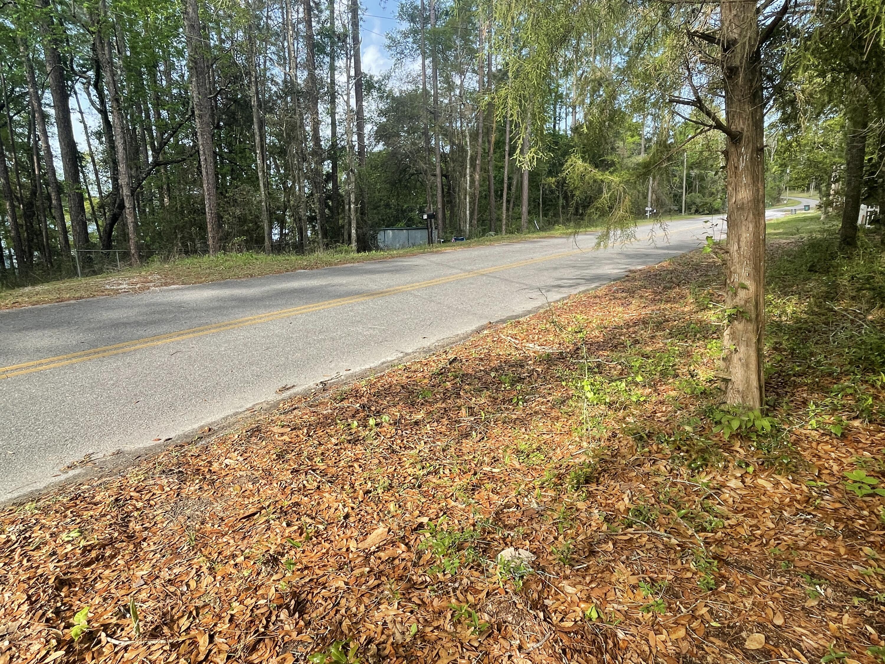 Lot 3 Squirrel Road DeFuniak Springs, FL 32433 - Photo 4 of 6 a backyard of a house with lots of green space