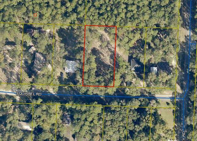 Lot 3 Squirrel Road DeFuniak Springs, FL 32433 - Photo 6 of 6