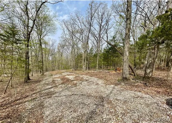 $175,000 | 0 Lakeview Drive, Ste. Genevieve, MO 63670