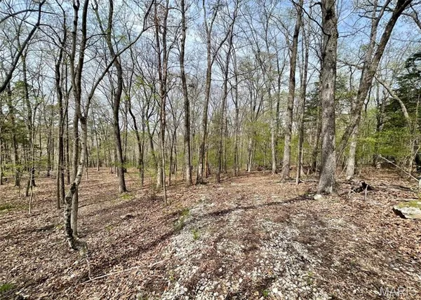$175,000 | 0 Lakeview Drive, Ste. Genevieve, MO 63670