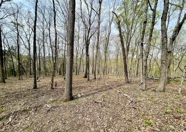 $175,000 | 0 Lakeview Drive, Ste. Genevieve, MO 63670
