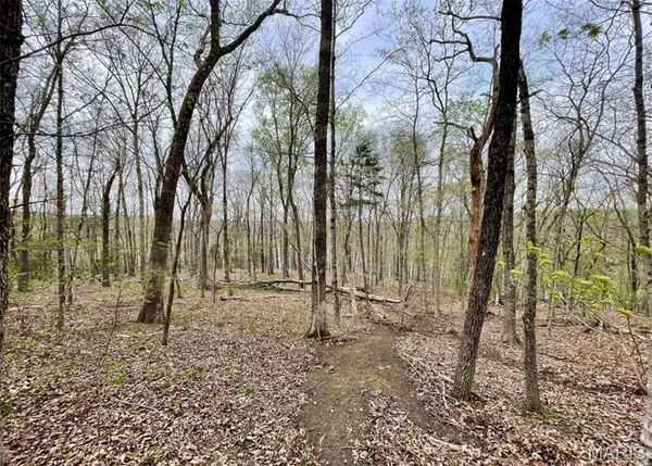 $175,000 | 0 Lakeview Drive, Ste. Genevieve, MO 63670