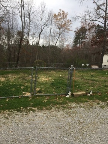 4064 White Oak Valley Road Northwest Cleveland, TN 37312 - Photo 3 of 14 Gallery Image 3