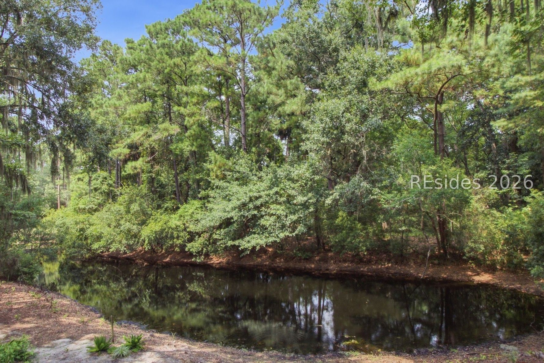 64 Shell Ring Road Hilton Head Island, SC 29928 - Photo 55 of 65 Lagoon & Forest Preserve view: 64 Shell Ring Rd