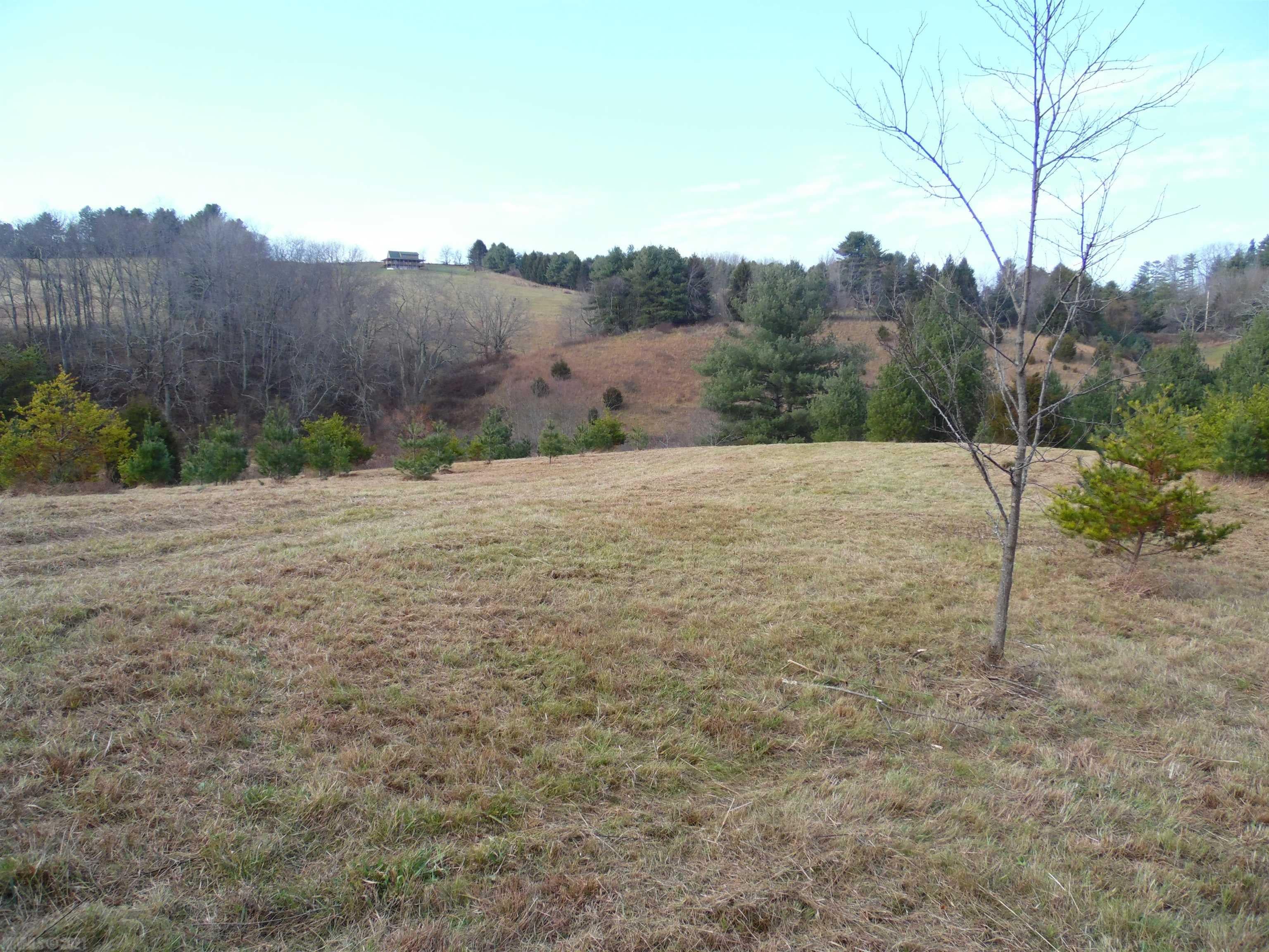 Tbd Stonewall Road Northeast Check, VA 24072 - Photo 18 of 35 Gallery Image 18